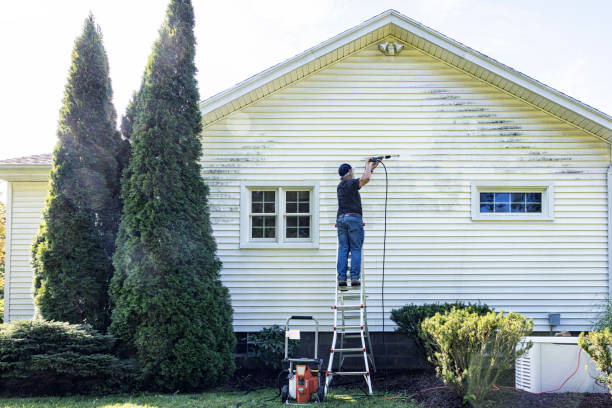 Best Roof Washing  in Hollidaysburg, PA